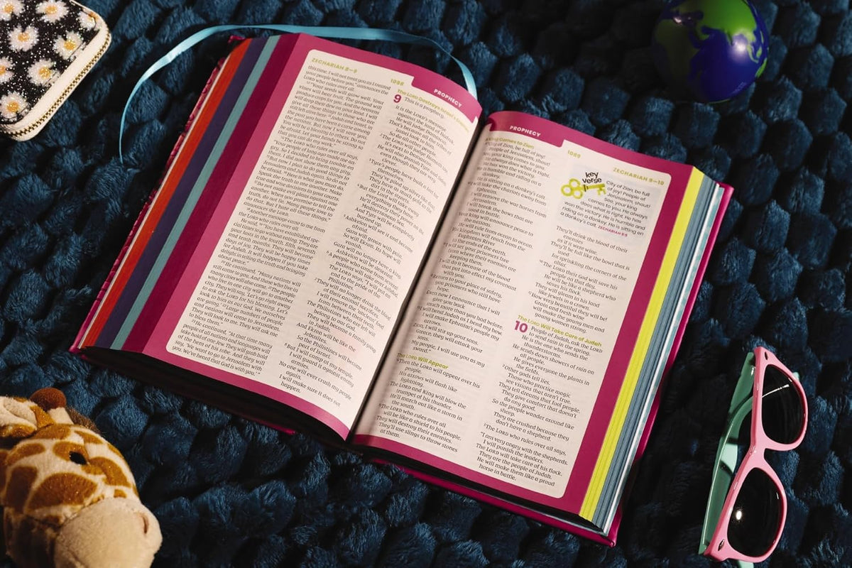 NIrV, Tiny Theologians Bible, Leathersoft over Board, Comfort Print: A Beginner’s Guide to the Bible – for, product view 16