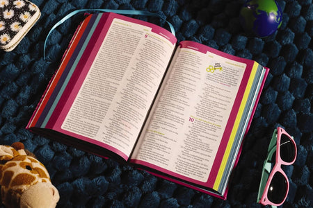 NIrV, Tiny Theologians Bible, Leathersoft over Board, Comfort Print: A Beginner’s Guide to the Bible – for, product view 16