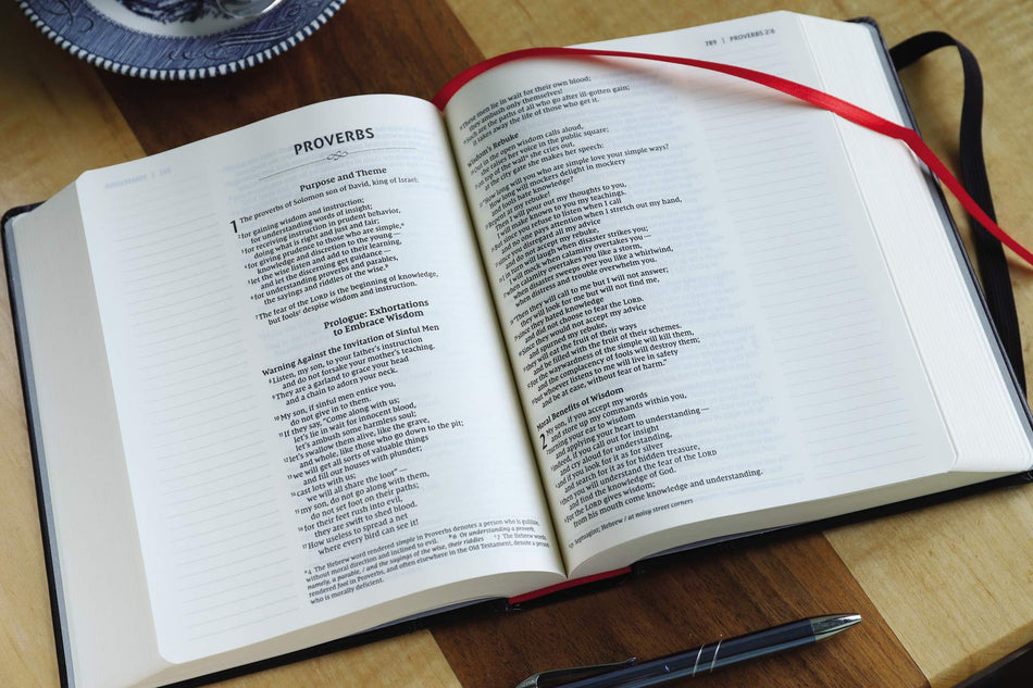 NIV, Journal the Word Bible, Red Letter, Comfort Print: Reflect, Take Notes, or Create Art Next to Your, product view 2