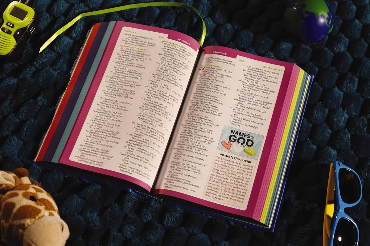 NIrV, Tiny Theologians Bible, Leathersoft over Board, Comfort Print: A Beginner’s Guide to the Bible – for, product view 4