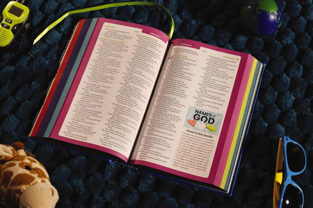 NIrV, Tiny Theologians Bible, Leathersoft over Board, Comfort Print: A Beginner’s Guide to the Bible – for, product view 4
