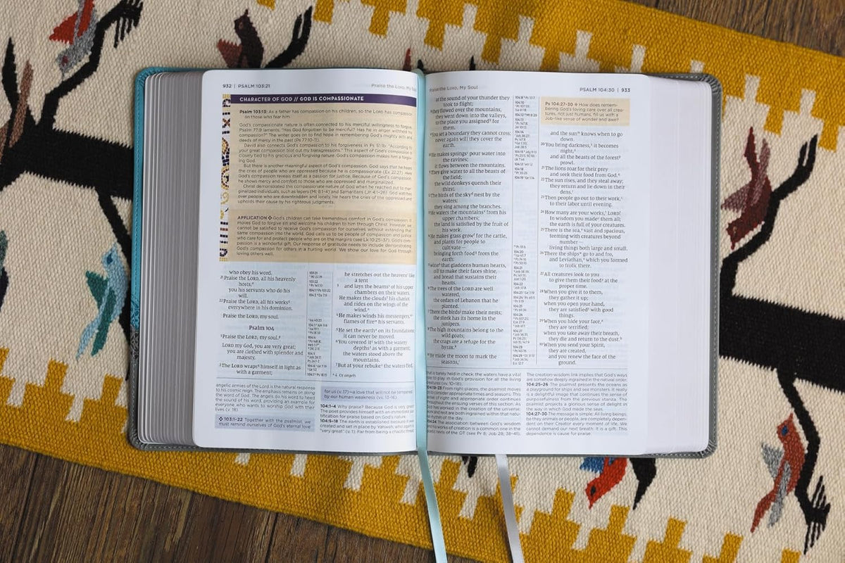 NIV Application Bible, Red Letter, Comfort Print: Bringing the Ancient Message of the Bible into Your World, product view 16