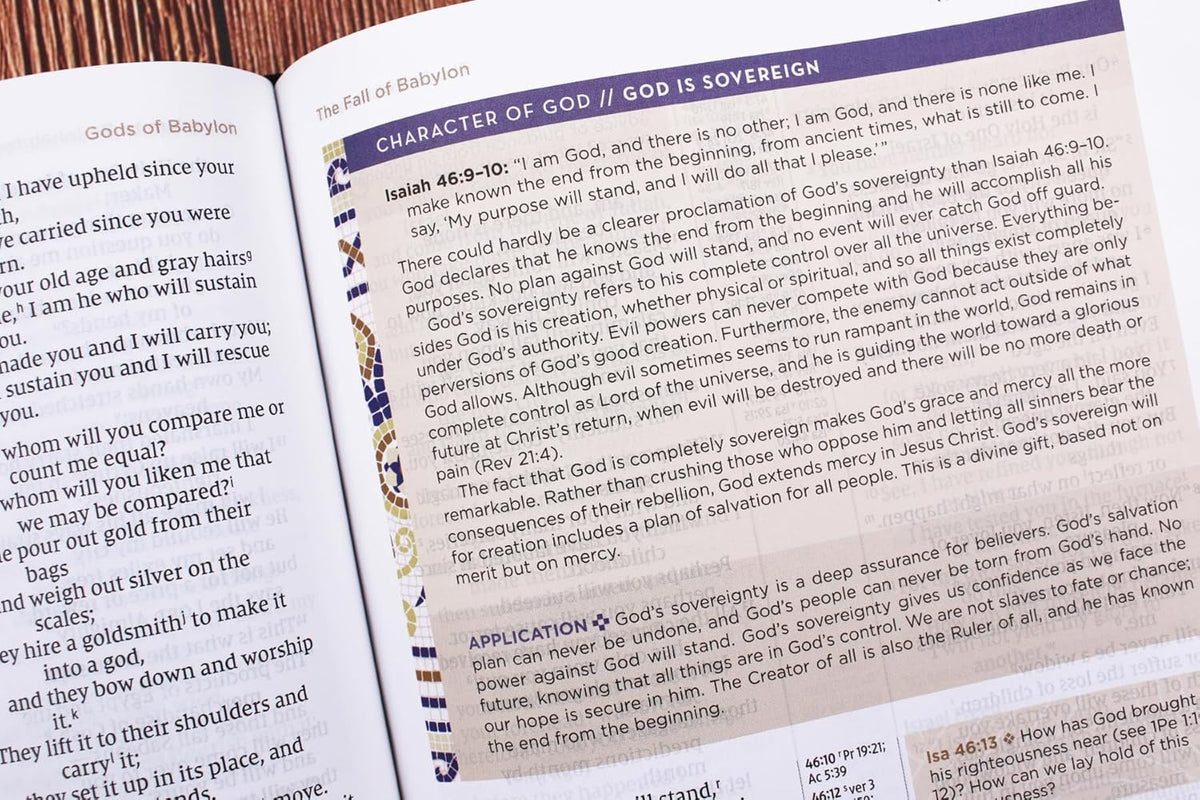 NIV Application Bible, Red Letter, Comfort Print: Bringing the Ancient Message of the Bible into Your World, product view 4