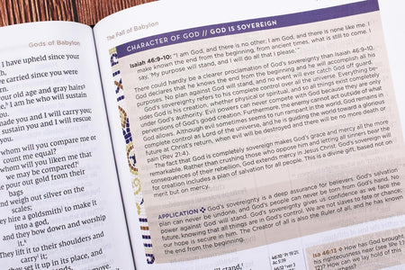 NIV Application Bible, Red Letter, Comfort Print: Bringing the Ancient Message of the Bible into Your World, product view 4