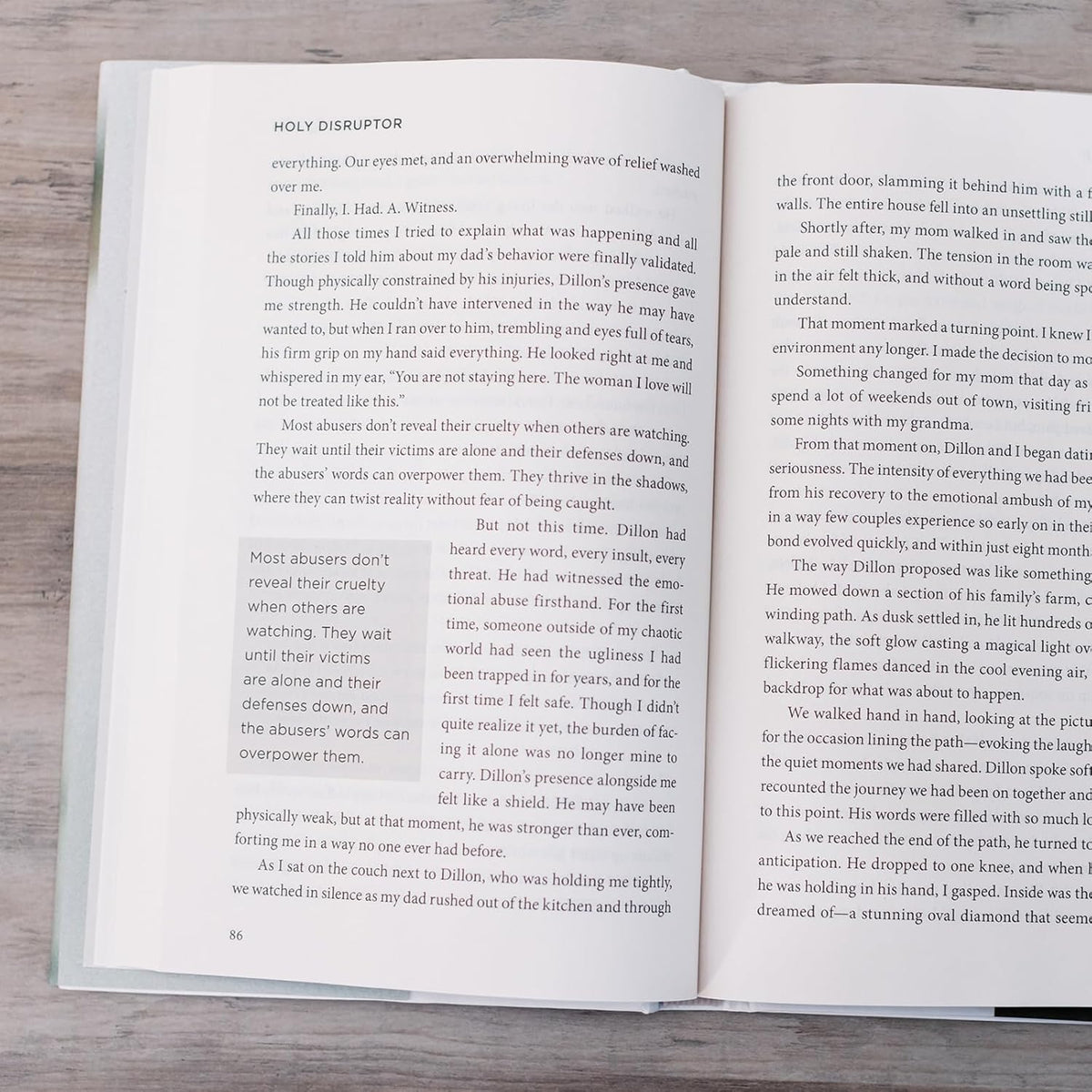 Holy Disruptor: Shattering the Shiny Facade by Getting Louder with the Truth by HarperCollins, product view 6