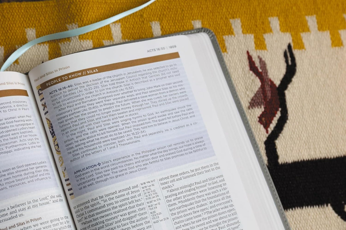NIV Application Bible, Red Letter, Comfort Print: Bringing the Ancient Message of the Bible into Your World, product view 18