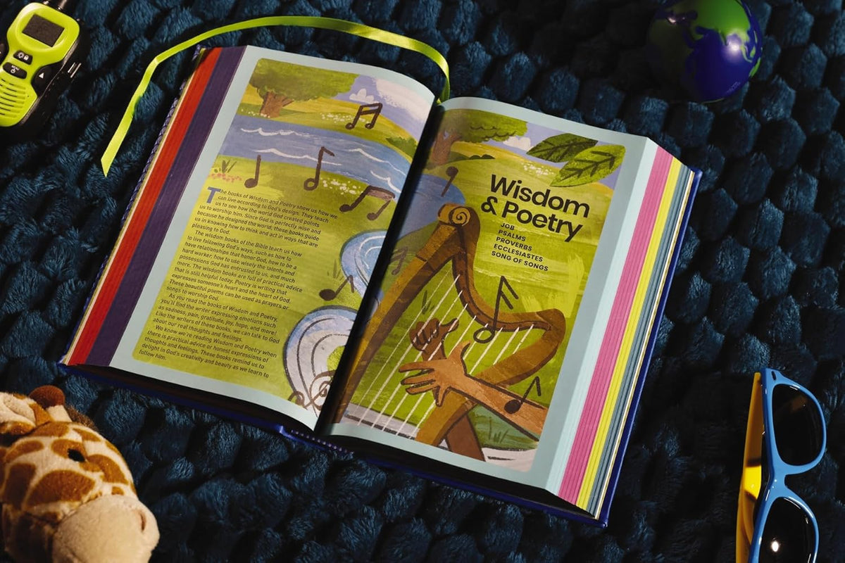 NIrV, Tiny Theologians Bible, Leathersoft over Board, Comfort Print: A Beginner’s Guide to the Bible – for, product view 6