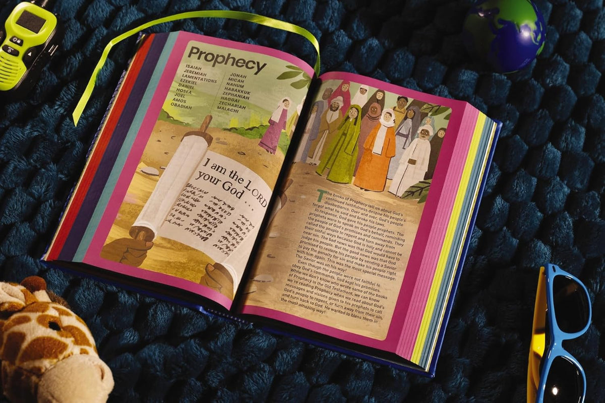 NIrV, Tiny Theologians Bible, Leathersoft over Board, Comfort Print: A Beginner’s Guide to the Bible – for, product view 7