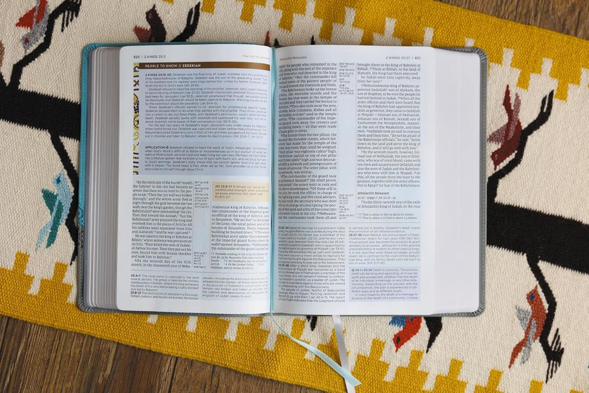 NIV Application Bible, Red Letter, Comfort Print: Bringing the Ancient Message of the Bible into Your World, product view 19