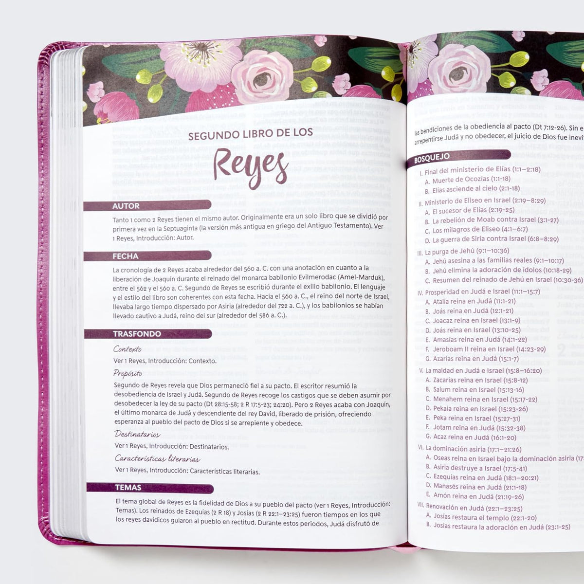 RVR60 Biblia de estudio para la mujer: Verdad, esperanza y transformación para el corazón – Leathersoft™, product view 12