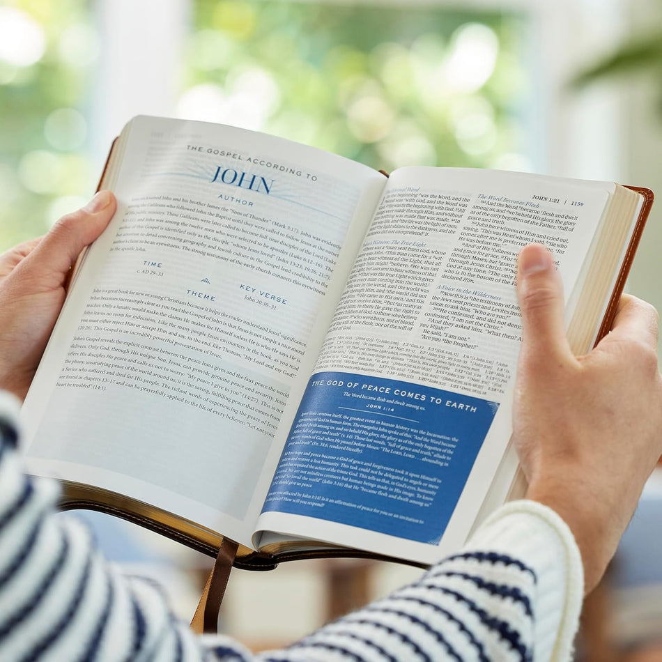 Peace of God Bible: Discover and Experience God's Shalom Throughout the Bible, product view 2
