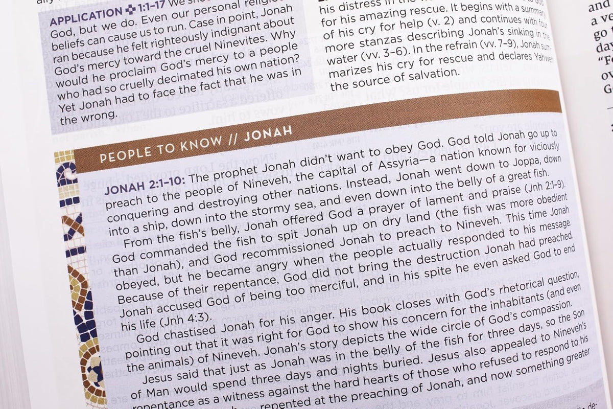 NIV Application Bible, Red Letter, Comfort Print: Bringing the Ancient Message of the Bible into Your World, product view 5