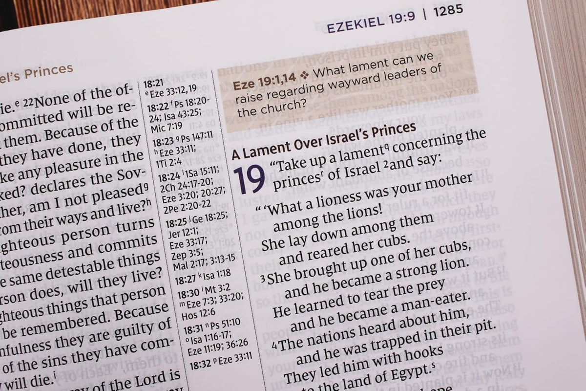 NIV Application Bible, Large Print, Red Letter, Comfort Print: Bringing the Ancient Message of the Bible, product view 8