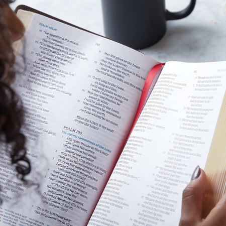 NKJV, Large Print Verse-by-Verse Reference Bible, Maclaren Series: Holy Bible, New King James Version, product view 3