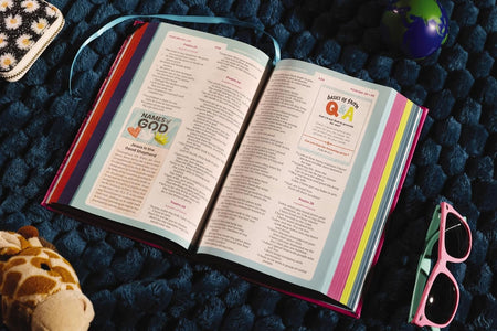 NIrV, Tiny Theologians Bible, Leathersoft over Board, Comfort Print: A Beginner’s Guide to the Bible – for, product view 18