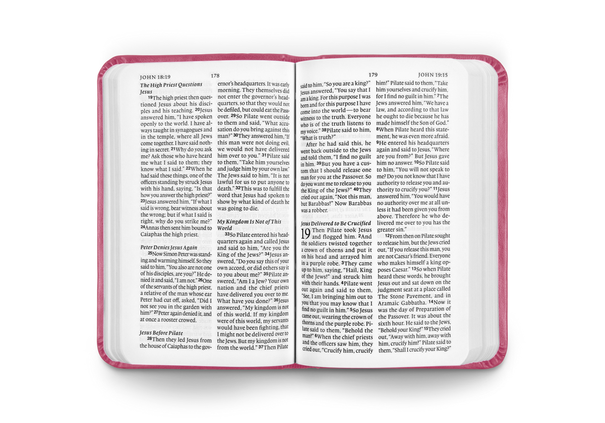 ESV Vest Pocket New Testament with Psalms and Proverbs, Red Letter – Imitation Leather by Crossway, product view 2