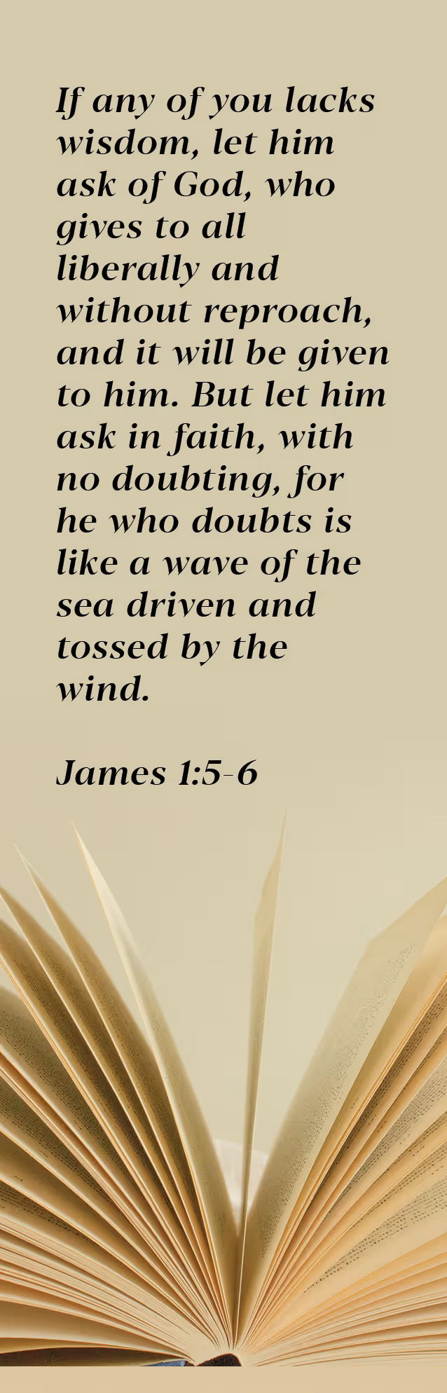 Inspirational Bookmark: Wisdom (Package of 25): James 1:5-6 (NKJV)