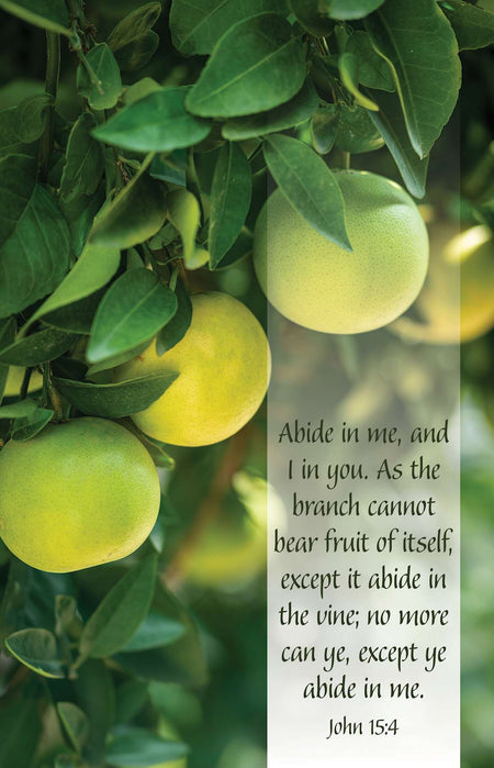 General Worship Bulletin: Abide in Me (Package of 100): John 15:4 (KJV) (Pack of 100) by Broadman and Holman