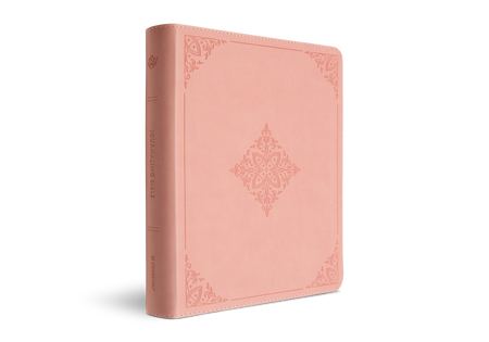 ESV Journaling Bible, Red Letter by Crossway, product view 2
