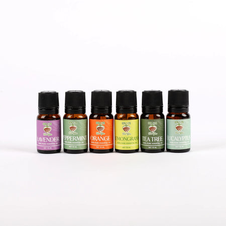 FAVORITES - PURE ESSENTIAL OILS 6CT