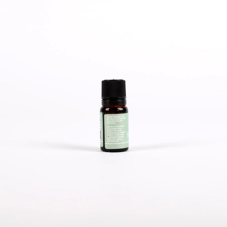 PURE ESSENTIAL OIL EUCALYPTUS 10ML