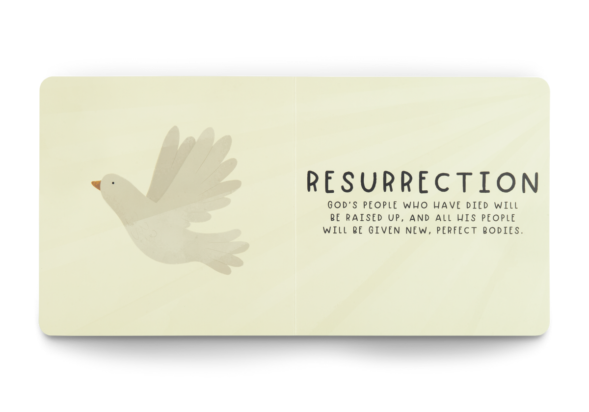 Heaven – Board Book by Crossway, product view 2