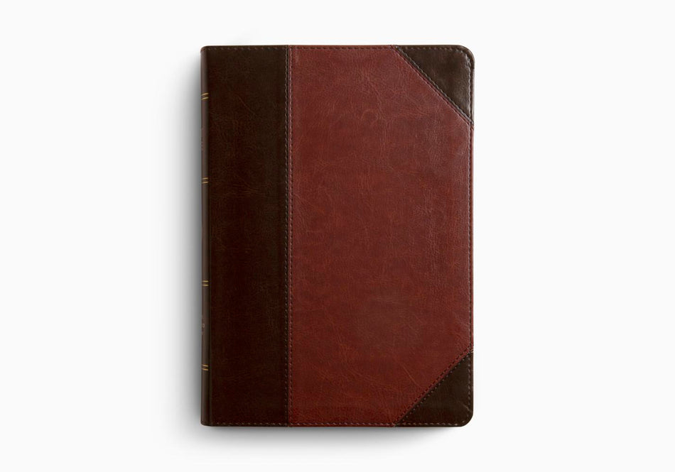 ESV Large Print Wide Margin Bible