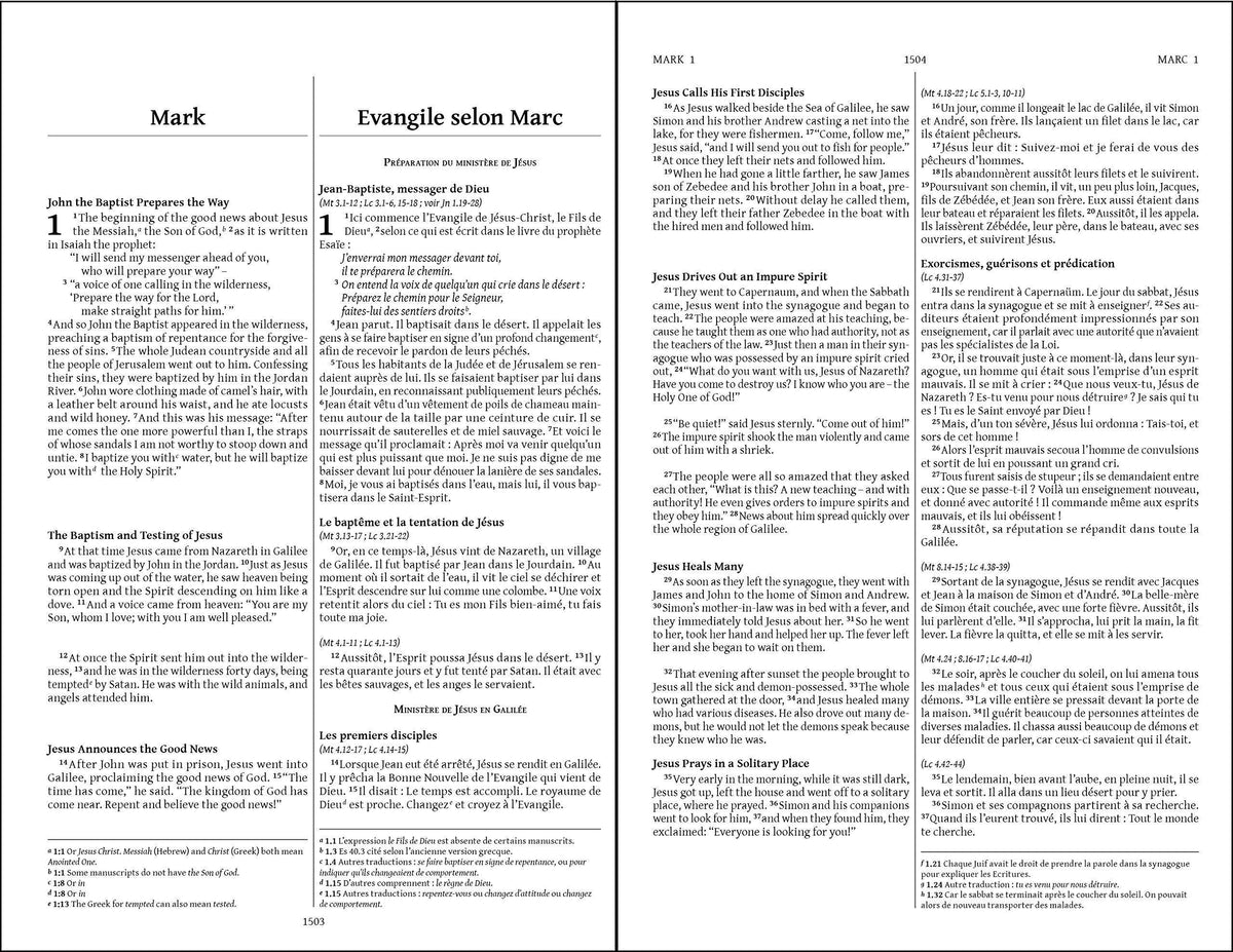 French Semeur/English Bilingual Bible (NIV) - Hardcover by HarperCollins, product view 3