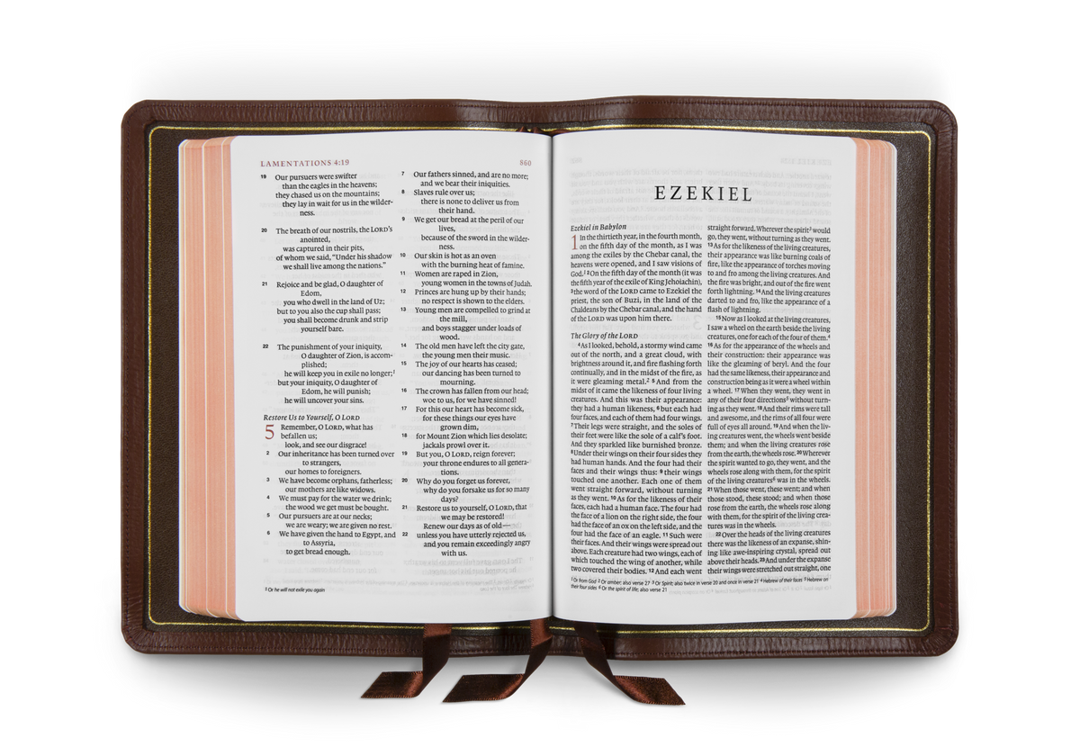 ESV Heirloom Bible, Alpha: Personal Size Edition – Leather, Calfskin, Grenada, Full Yapp by Crossway, product view 2