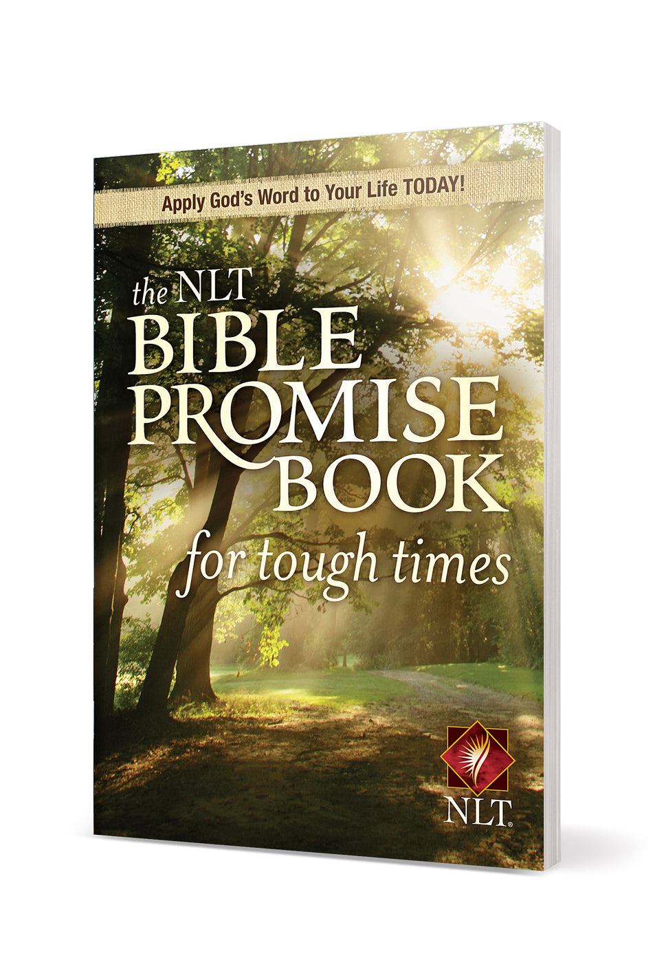 The NLT Bible Promise Book for Tough Times by Tyndale, product view 2