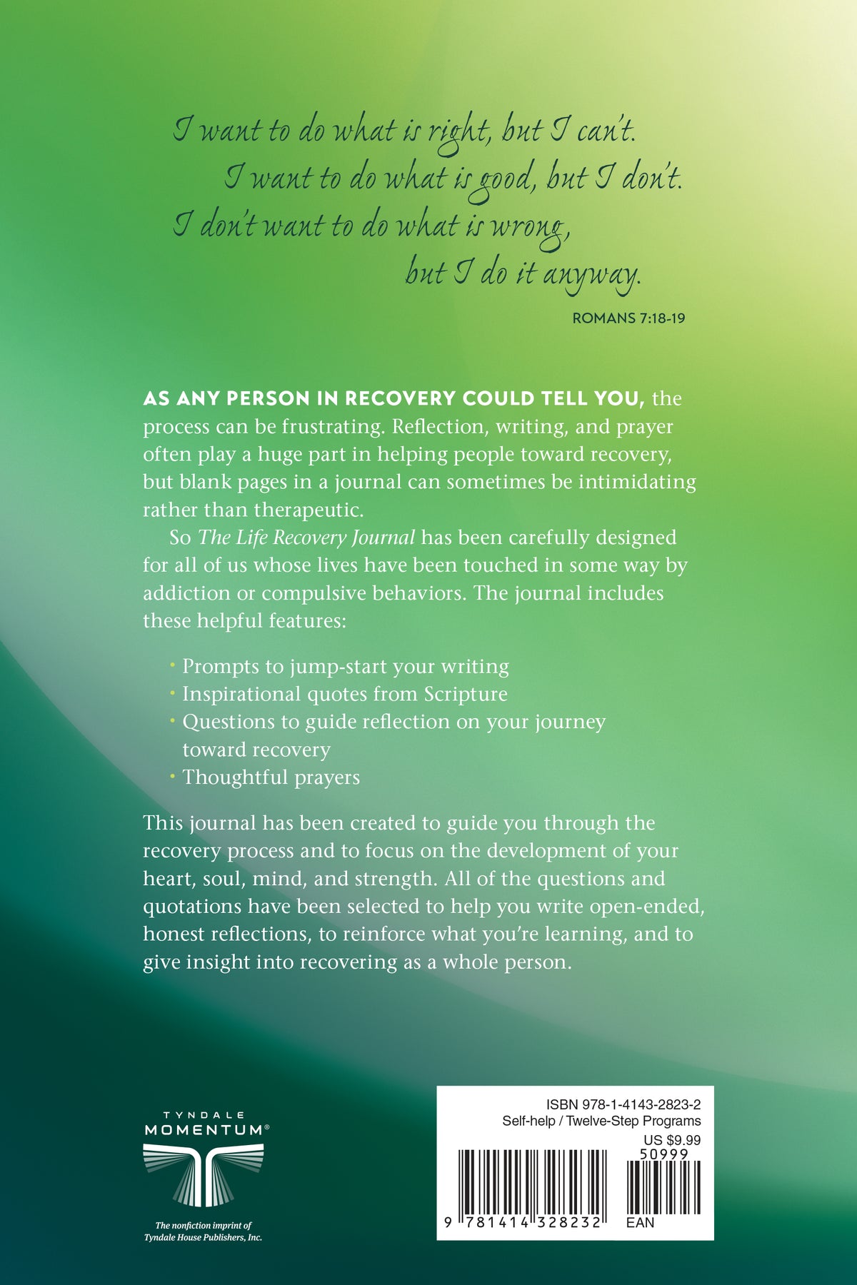 The Life Recovery Journal by Tyndale, product view 2