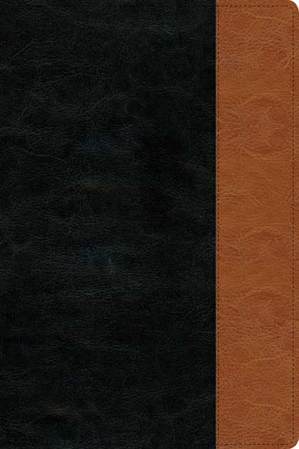 Compact Edition Bible NLT, Large Print by Tyndale, product view 2