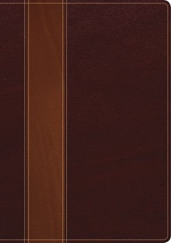 The Swindoll Study Bible NLT