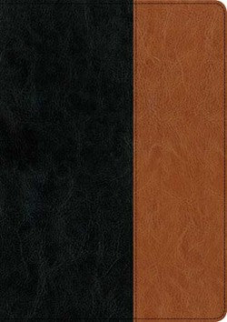 Every Man's Bible NIV, Large Print