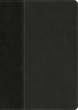 Every Man's Bible NIV, Large Print