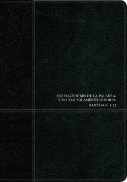 Biblia de estudio del diario vivir RVR60 [Life Application Study Bible RVR60]