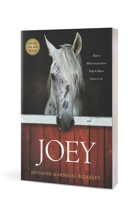 Joey by Tyndale, product view 3