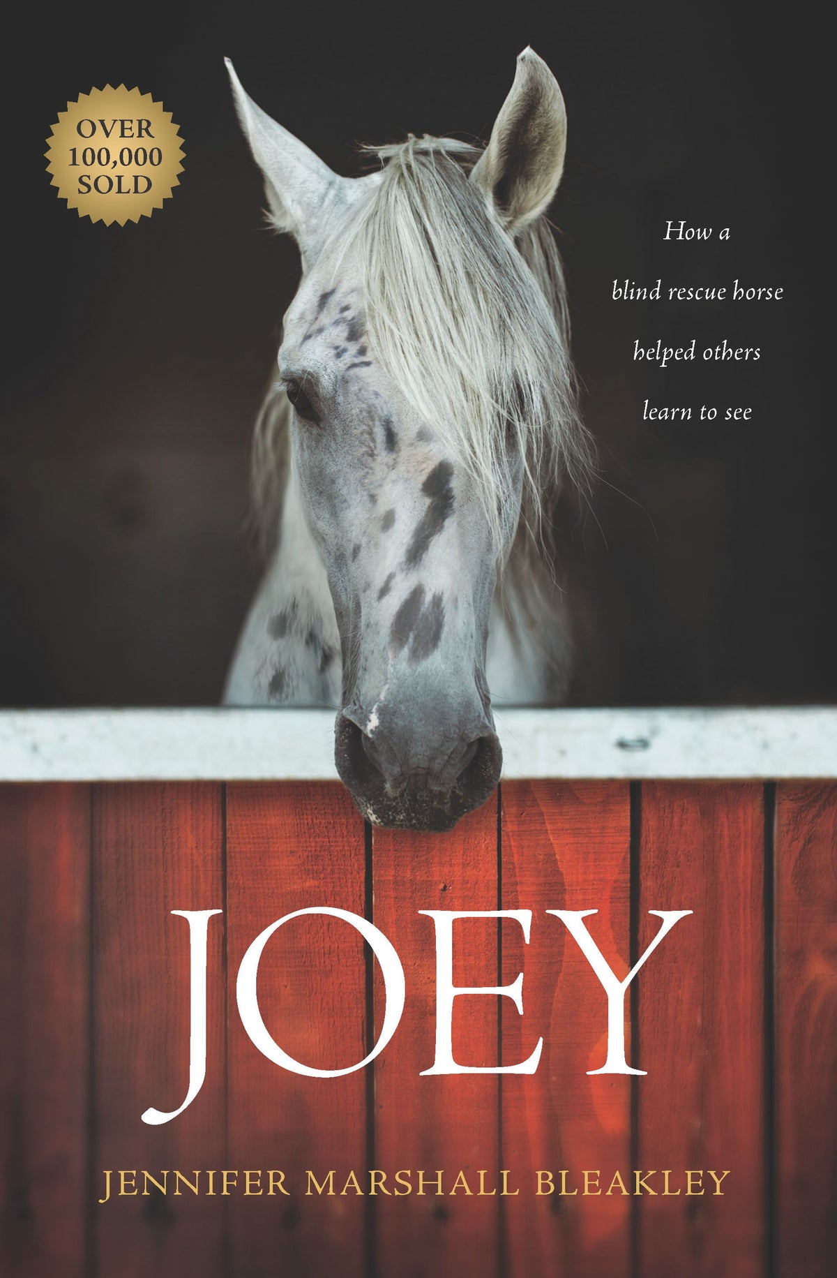 Joey by Tyndale