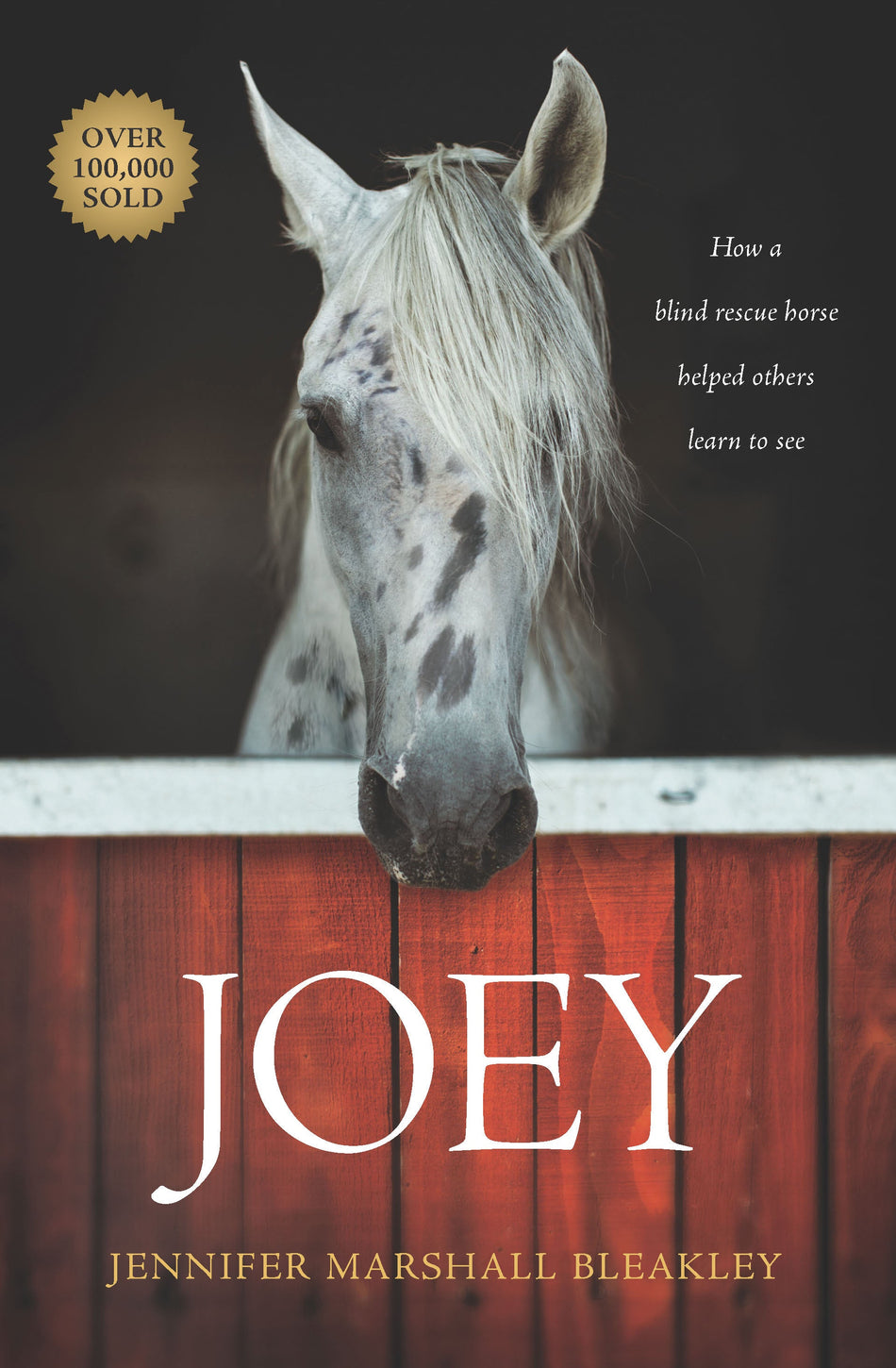 Joey by Tyndale