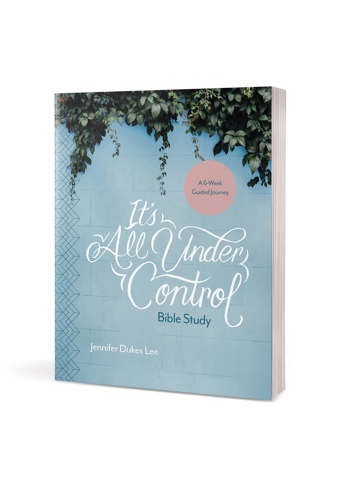 It's All Under Control Bible Study by Tyndale, product view 2