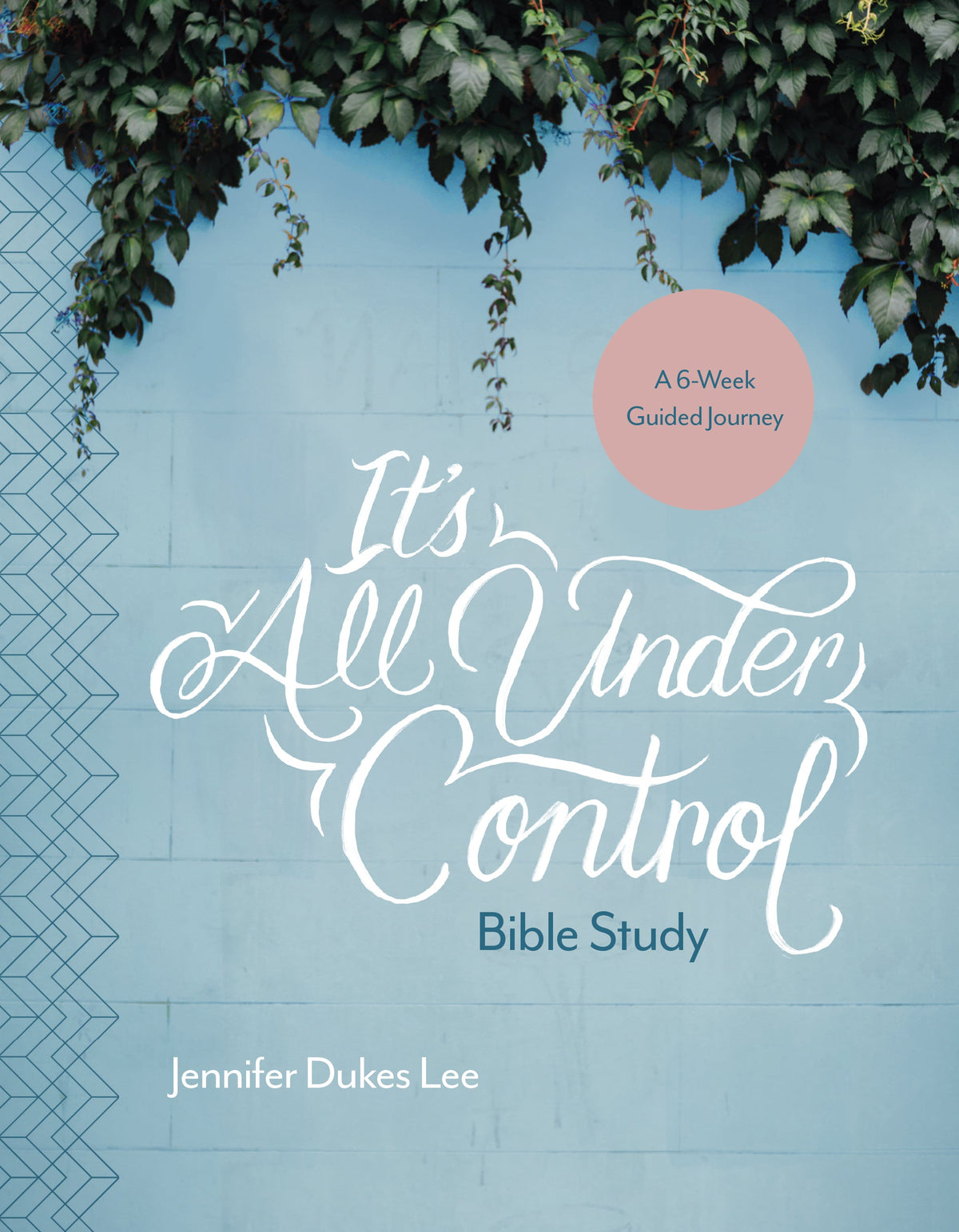 It's All Under Control Bible Study by Tyndale