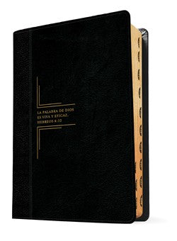 Biblia de estudio del diario vivir RVR60, letra grande+