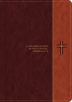 Biblia de estudio del diario vivir RVR60, letra grande+