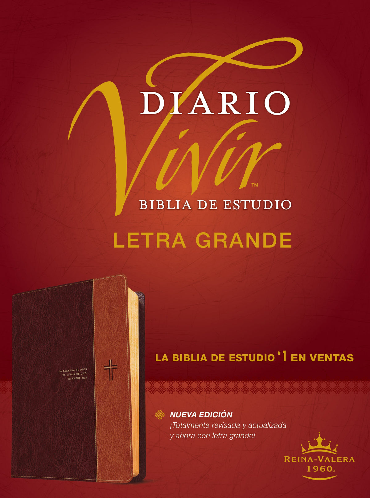 Biblia de estudio del diario vivir RVR60, letra grande+ by Tyndale