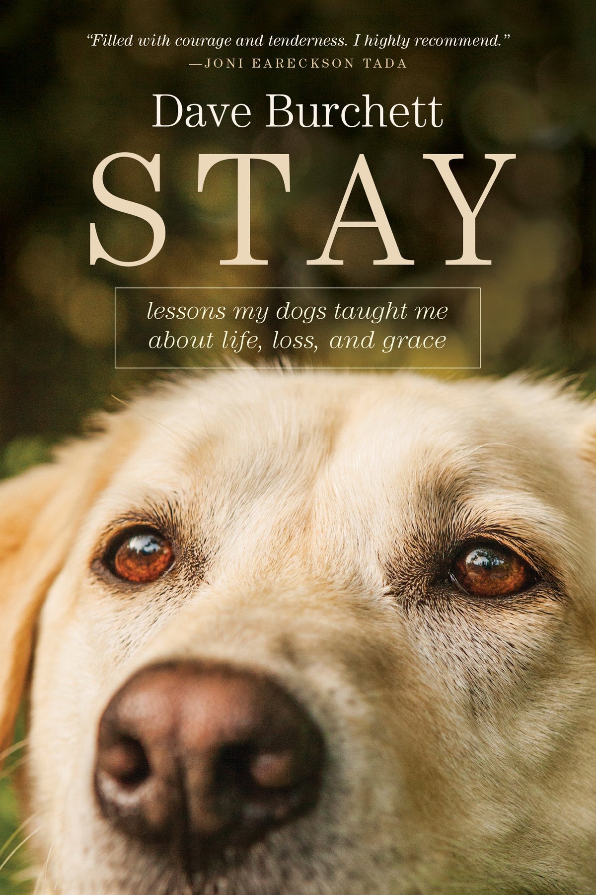 Stay by Tyndale