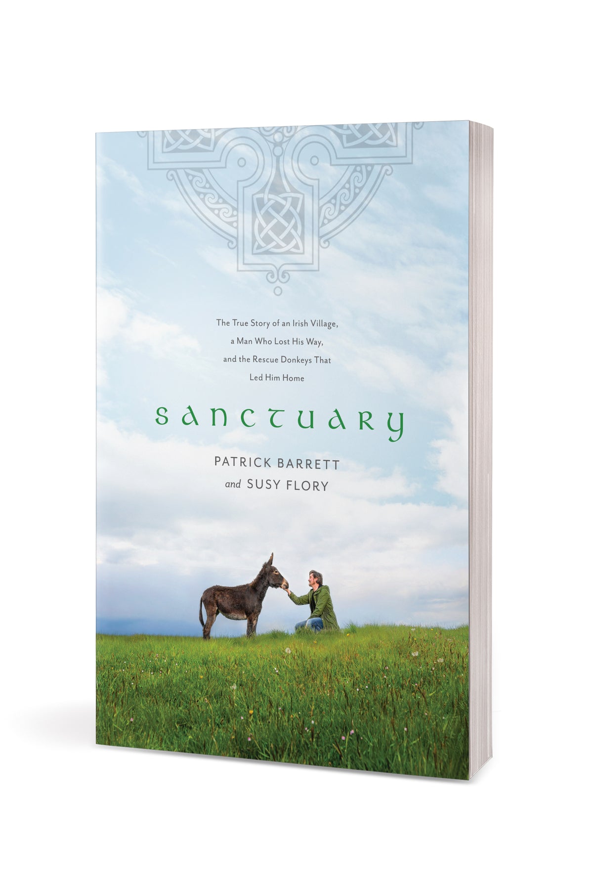 Sanctuary by Tyndale, product view 3