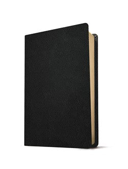 NLT Large Print Thinline Reference Zipper Bible, Filament Enabled