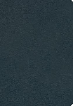 NLT Large Print Thinline Reference Zipper Bible, Filament Enabled