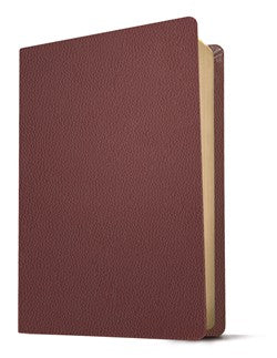 KJV Personal Size Giant Print Bible, Filament Enabled