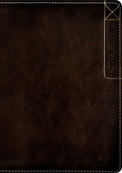 Every Man's Bible NLT, Large Print